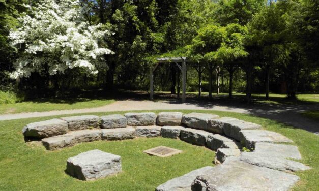 Chamber earns preservation award