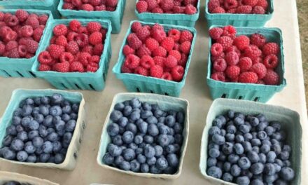 Annual West Seneca Farmers’ Market to kick off season on May 15